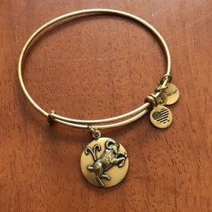 Alex and Ani Bangle